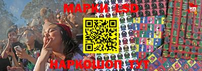 PSILOCYBIN Ярославль