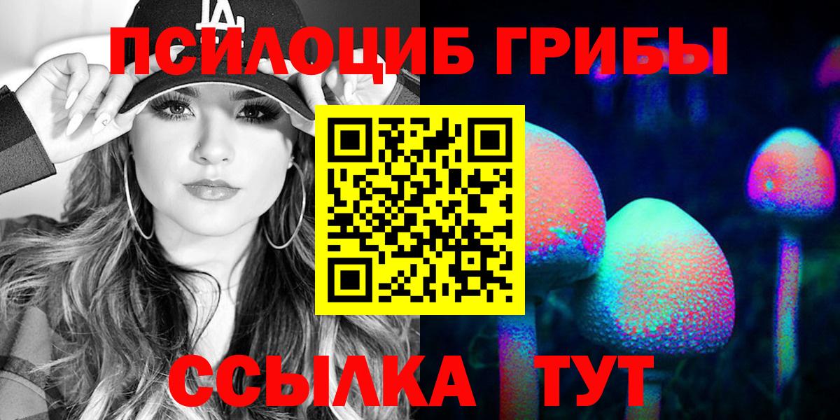 Псилоцибиновые грибы Psilocybe  Вход с VPN  Алейск 